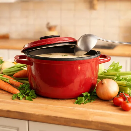 Enameled cast iron Dutch oven